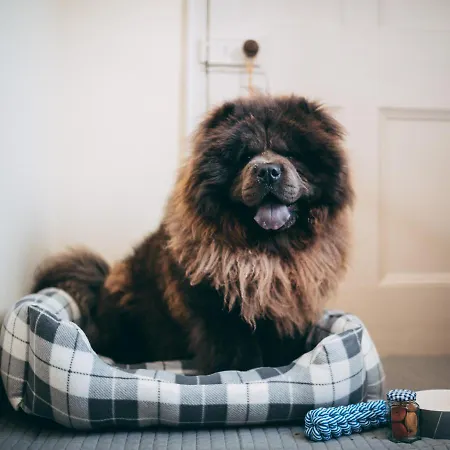 布莱克布尔酒店 酒店 柯比斯蒂芬