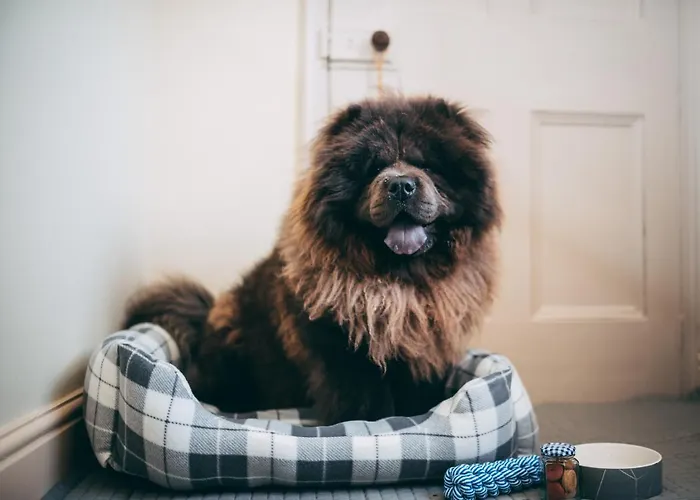 Black Bull Hotel Kirkby Stephen