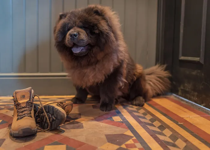 Black Bull Hotel Kirkby Stephen