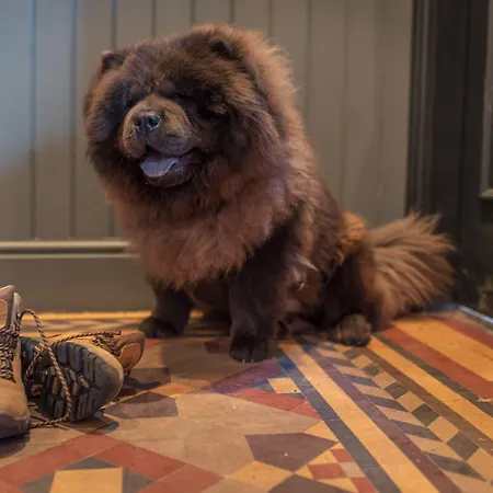 Black Bull Hotel Kirkby Stephen